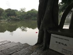 -小洲村