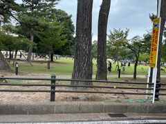 -料亭菊水楼