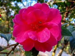 -昆明市金殿名胜区