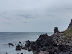 -涉地可支