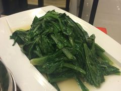 油麦菜-楼兰印象(朝外店)