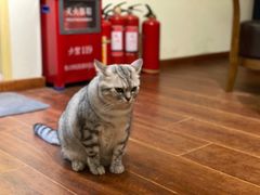 -H立方实景剧情密室(天河旗舰店)
