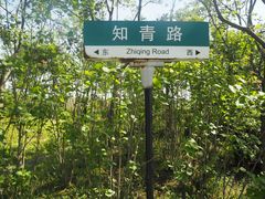 -同里国家湿地公园