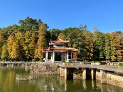 -深圳仙湖植物园