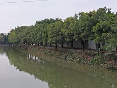 -小洲村