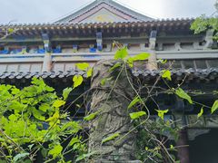 -句容茅山景区
