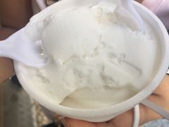 -洪馨椰子