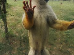 -石家庄市动物园