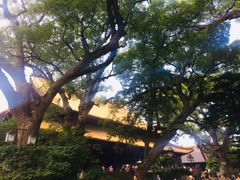 -普陀山慧济禅寺