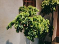 -百富源·海鲜辽菜(张士店)