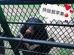 -五龙山野生动物王国