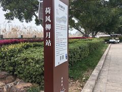 -江心屿景区