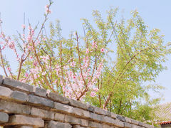 -三里河公园
