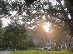 -浙江西子宾馆·瑶园咖啡厅