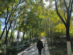 -南翠屏公园