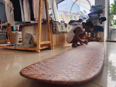 -西涌国际滨海旅游区