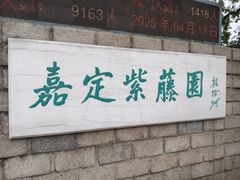 -嘉定紫藤园