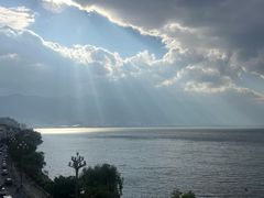 -野菌皇海景野生菌火锅(滨海大道店)