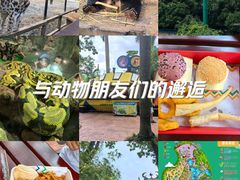 -广州长隆野生动物世界