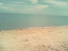 android_upload_pic-白沙门生态公园