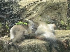 -黔灵山公园