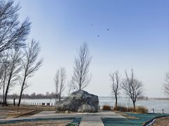 -野鸭湖国家湿地公园