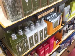 -西沃古尔·拉姆古兰爵士国际机场