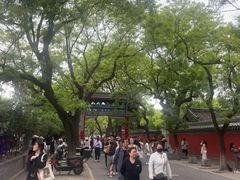 -北京国子监胡同