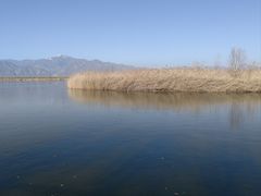 -野鸭湖国家湿地公园