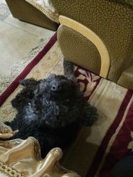 -杉惠素颜美妆皮肤管理中心