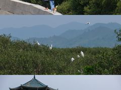 -盐洲岛