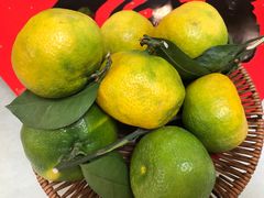-津津菜馆(绝没分店)