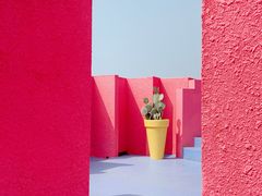 -漳州滨海火山岛自然生态风景区