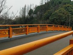 -青枫公园