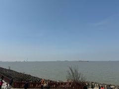-上海滨江森林公园