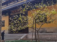 -西园戒幢律寺