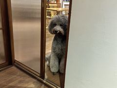 -沏点Trattoria意大利餐厅(新街口店)