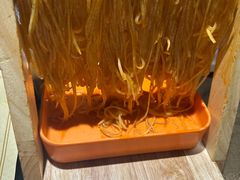 -东口码头·烧鸽子·鱼头泡饼·地方菜(金鹰悦城店)