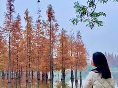 -白鹭湾湿地公园