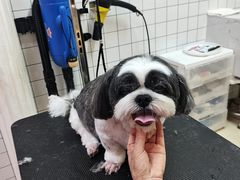 -喜狗宠物生活馆(岳州路店)