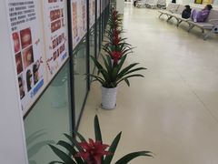 -杭州口腔医院(平海院区)