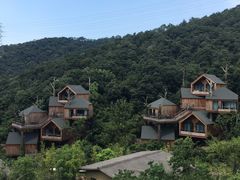 -杭州开元森泊度假乐园