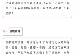 -TFC 纯泰拳馆MuayThai