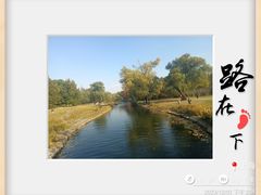 -上海共青森林公园