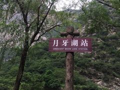 -少华山国家森林公园