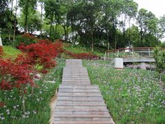 -大渡口区义渡公园