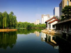 -团结湖公园