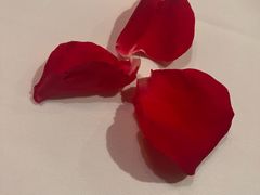 -王品牛排(北京西单店)