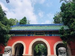 -灵谷景区