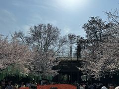 -堤角公园